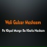 Wali Gulzar Mashoom
