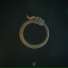 Prophectical