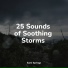 Study Zone, Chillout Lounge, Sleep Music System