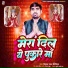 Vishal Raman Chaurasiya