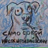 Носок игривой псины