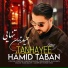 Hamid Taban