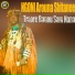 NGoni Arouna Shitanee