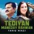 Tariq Niazi