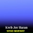 Siyad Marwat
