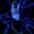 COLDDEMON