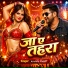 Krishna yadav