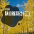岳彩静