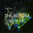 Romak