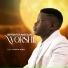 Tosin Bee feat. BeezleNation