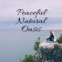 Just Relax Music Universe