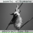 sonic v tumane