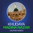 Salman Haider