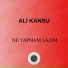 Ali Kansu