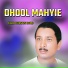 Talib Hussain Dard