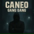 Caneo