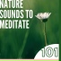 New Age Naturists