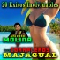 Aniceto Molina, Los Corraleros De Majagual
