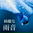 大雨の日