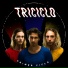 Triciclo