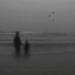 Wh01Am, Yuforia