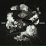 Rhymix feat. Fbe