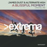 James Dust & Alternate High