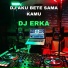 DJ ERKA