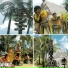 Pulefano, The Polynesians