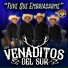 Los Venaditos Del Sur