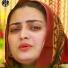 Bahadar Zaib