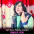 Singer Adil