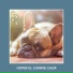 Relaxing Dog Music