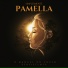 Projeto Pamella