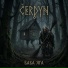 Čerdyn