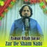 Asmat Ullah Jarar