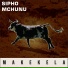 Sipho Mchunu