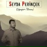 Seyda Perinçek