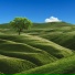 cansee, Hikki