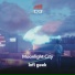lofi geek