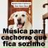 Música Para Cachorro, Slow Heart Beat