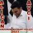 Alican Avcı