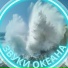 Мелодия морских волн, Музыка для быстрого мышления