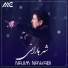 NAJIM NAWABI