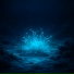Elaris, Музыка для кошек