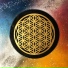 Cosmic Mansions