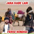 Feroz kondozi