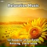 Meditation Music, Relaxing Music, Yoga