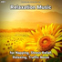 Meditation Music, Relaxing Music, Yoga