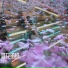 王亚君